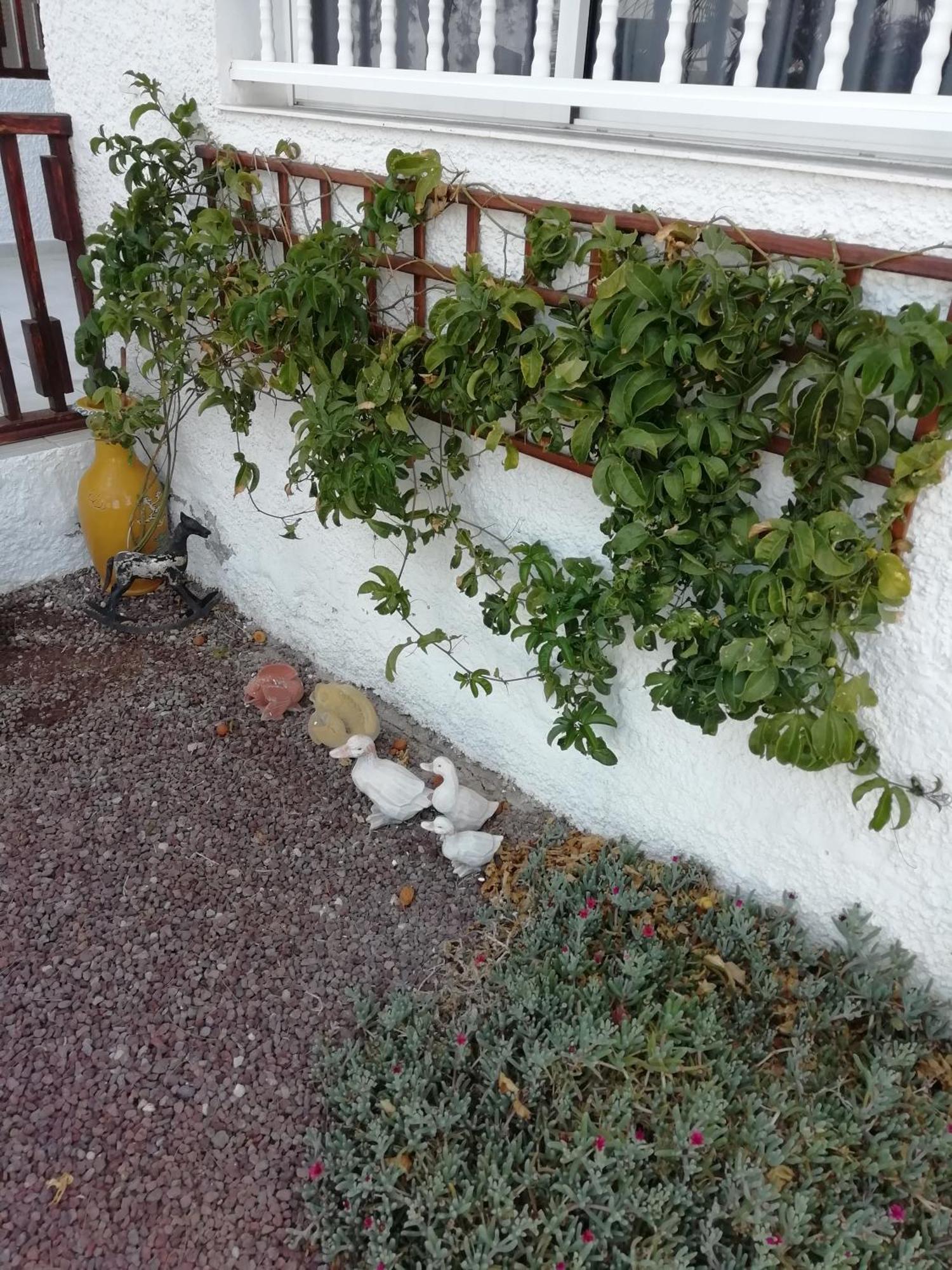 Ferienwohnung Losgigantes Acantilado de los Gigantes Exterior foto